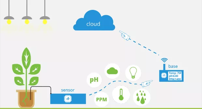 internet of things in automation